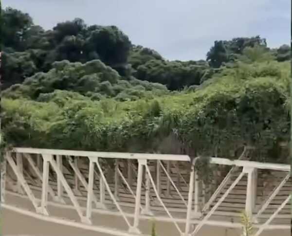 米軍から返還された「小柴自然公園」を現地視察 安全対策の徹底と基地返還のあり方を問う